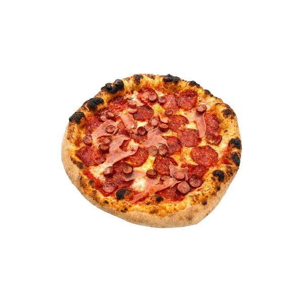 Carnivora
