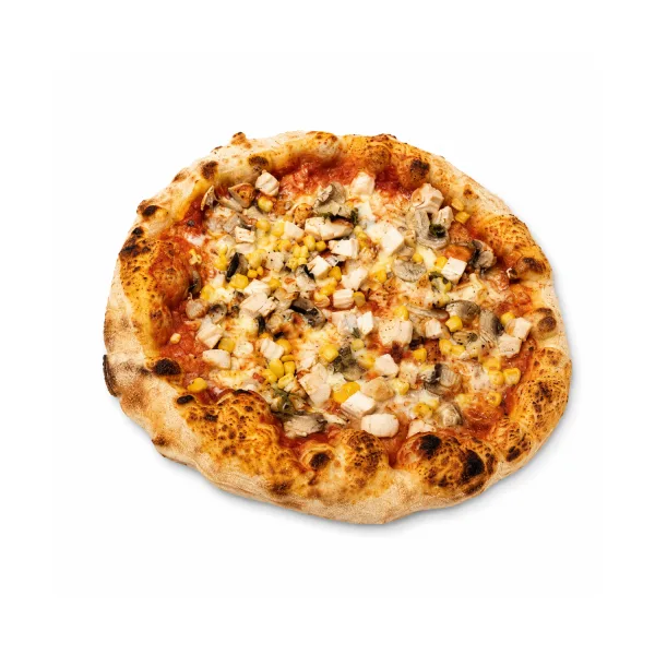 Pizza cu pui